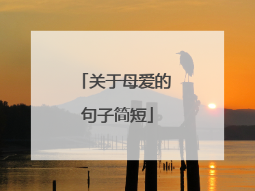 关于母爱的句子简短