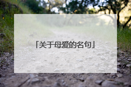 关于母爱的名句