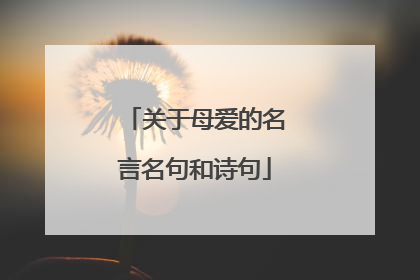 关于母爱的名言名句和诗句