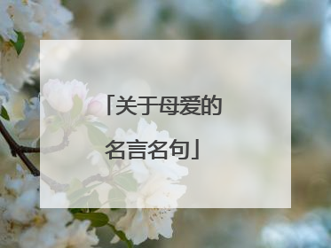 关于母爱的名言名句