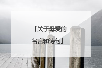 关于母爱的名言和诗句