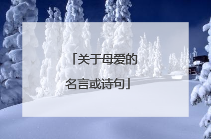 关于母爱的名言或诗句