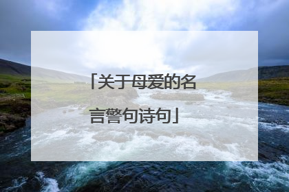 关于母爱的名言警句诗句
