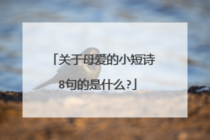 关于母爱的小短诗8句的是什么?