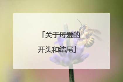 关于母爱的开头和结尾