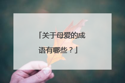 关于母爱的成语有哪些？