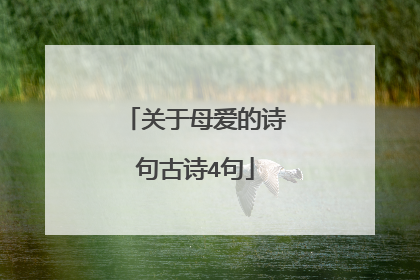 关于母爱的诗句古诗4句