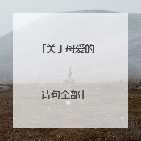 关于母爱的诗句全部