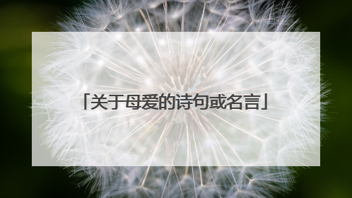 关于母爱的诗句或名言