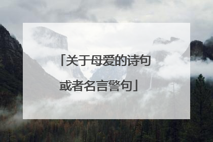 关于母爱的诗句或者名言警句