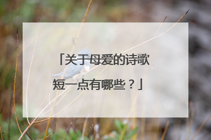 关于母爱的诗歌短一点有哪些?