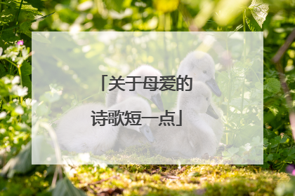 关于母爱的诗歌短一点