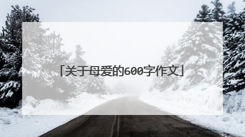 关于母爱的600字作文