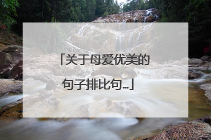 关于母爱优美的句子排比句…