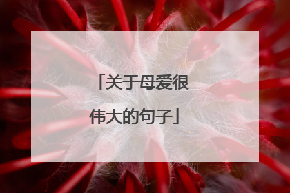关于母爱很伟大的句子