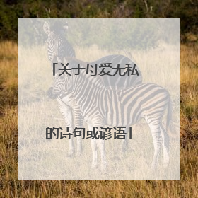 关于母爱无私的诗句或谚语