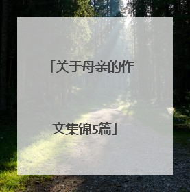 关于母亲的作文集锦5篇