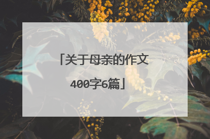 关于母亲的作文400字6篇