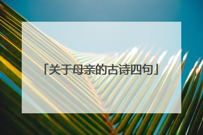 关于母亲的古诗四句