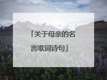 关于母亲的名言歌词诗句