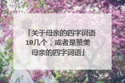 关于母亲的四字词语10几个,或者是赞美母亲的四字词语