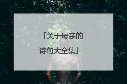 关于母亲的诗句大全集