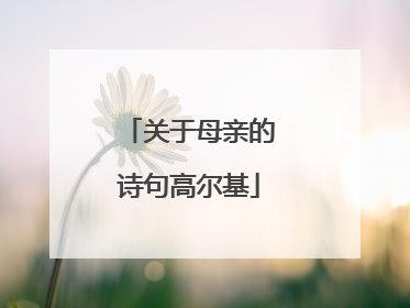 关于母亲的诗句高尔基