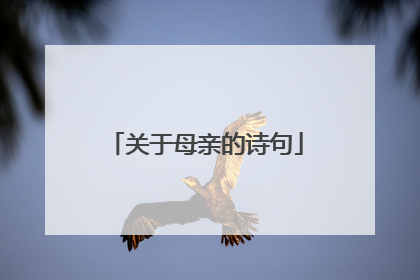 关于母亲的诗句