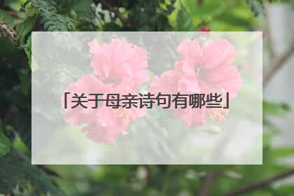 关于母亲诗句有哪些