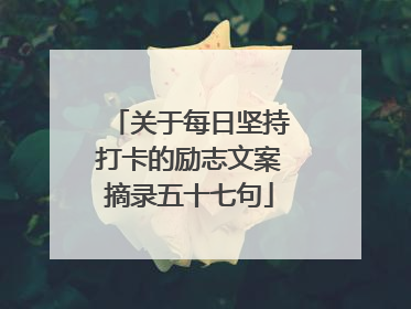 关于每日坚持打卡的励志文案摘录五十七句