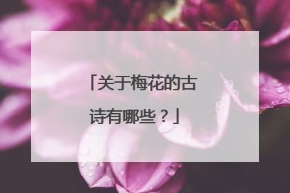 关于梅花的古诗有哪些?