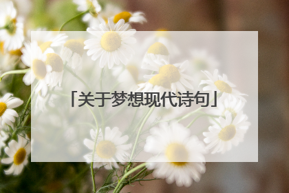 关于梦想现代诗句