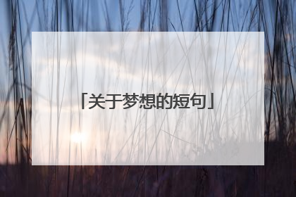 关于梦想的短句