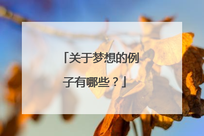关于梦想的例子有哪些？