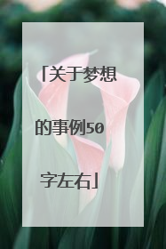 关于梦想的事例50字左右