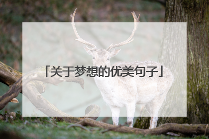 关于梦想的优美句子