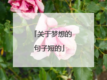 关于梦想的句子短的