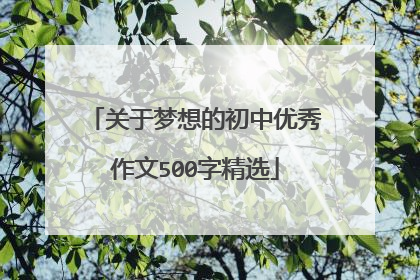 关于梦想的初中优秀作文500字精选