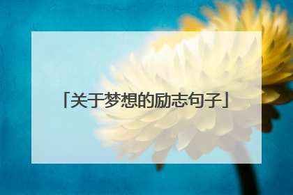 关于梦想的励志句子