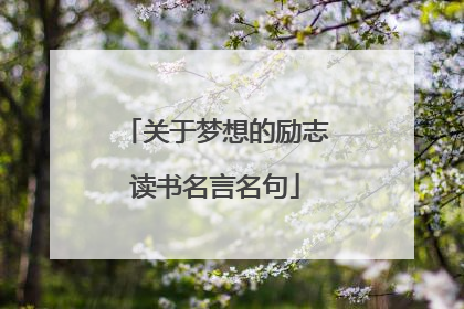 关于梦想的励志读书名言名句