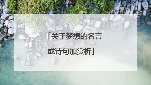 关于梦想的名言或诗句加赏析