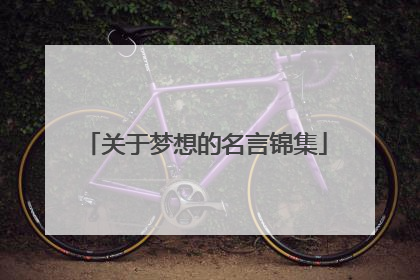 关于梦想的名言锦集