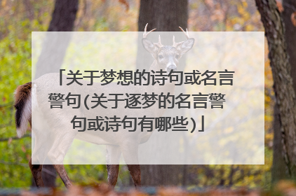 关于梦想的诗句或名言警句(关于逐梦的名言警句或诗句有哪些)