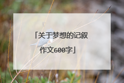 关于梦想的记叙作文600字