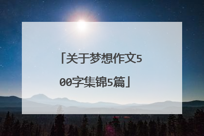 关于梦想作文500字集锦5篇