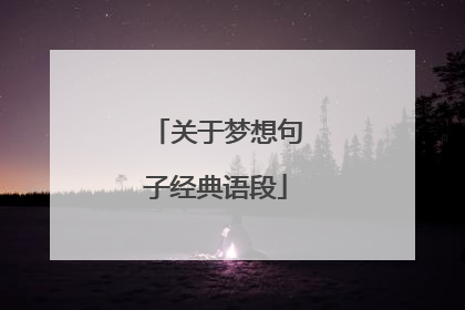 关于梦想句子经典语段