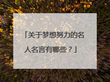 关于梦想努力的名人名言有哪些?