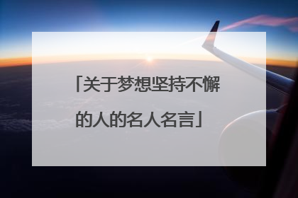 关于梦想坚持不懈的人的名人名言
