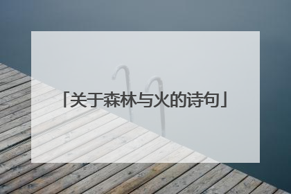关于森林与火的诗句