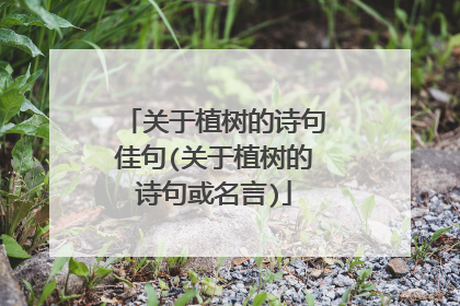 关于植树的诗句佳句(关于植树的诗句或名言)